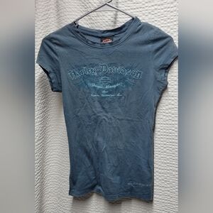 Harley-Davidson Gray and Blue Graphic Tee